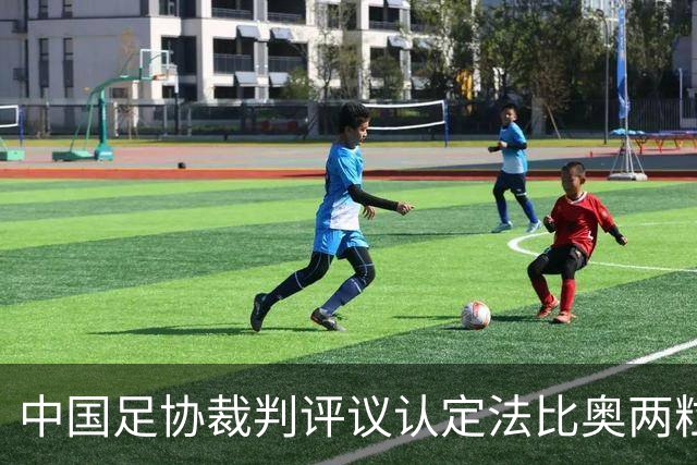 中国足协裁判评议认定法比奥两粒进球均为好球